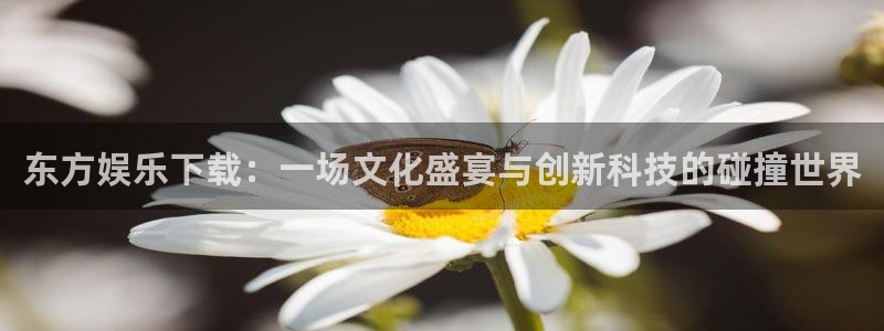 奇亿娱乐