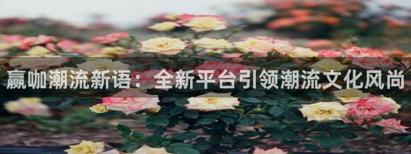 奇亿娱乐平台