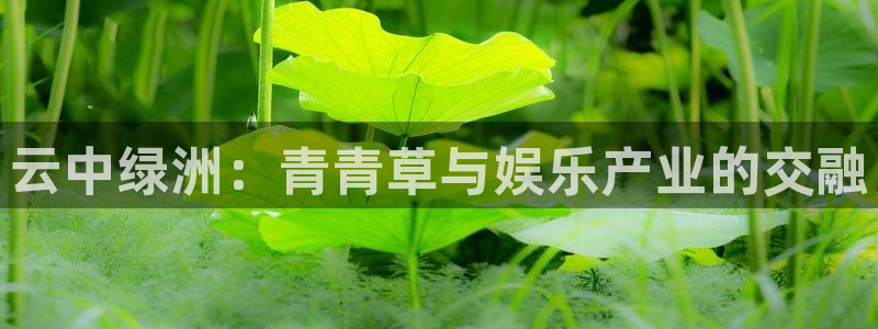 奇亿娱乐home