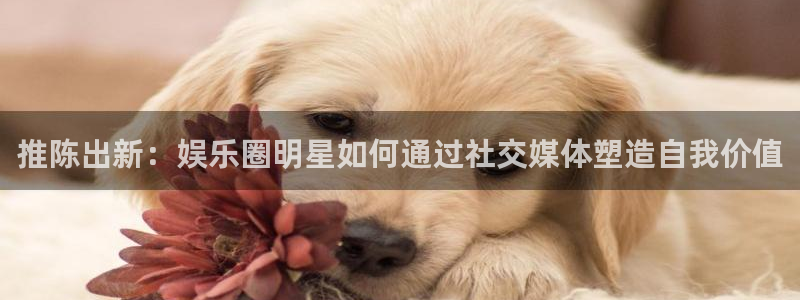 奇亿娱乐home